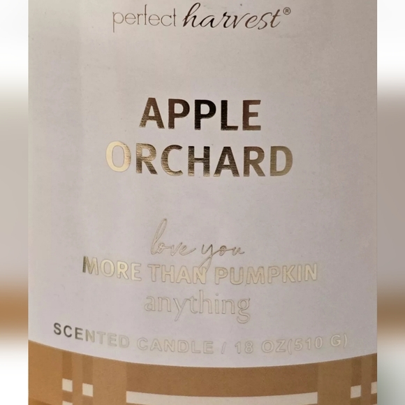 Apple Orchard Scented 18oz Candle New Love You More Than Pumpkin Anything - Picture 3 of 5